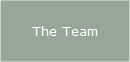 The Team